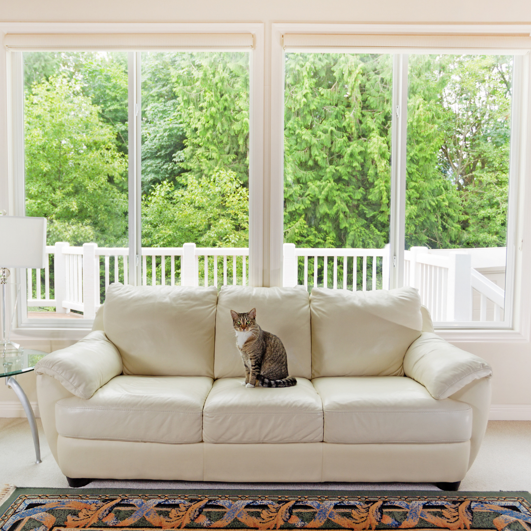 Double Pane Window: An Energy Efficient House 4 Insulated WIndow